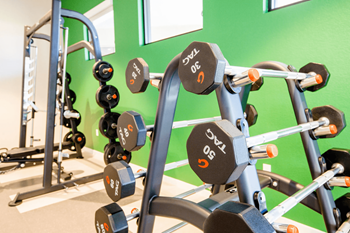 Interactive cardio and strength equipment